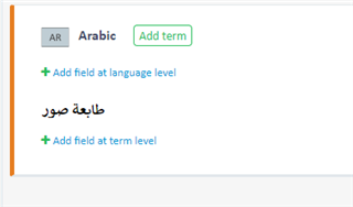 Trados Studio screenshot displaying the correct entry with 'photo printer' in English field and its Arabic equivalent in Arabic field.