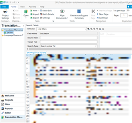 Blurred screenshot of Trados Studio Translation Memory Viewer displaying a populated list of translation units with various source and target language segments.