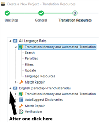 Screenshot after first click, expanding 'English (Canada) -> French (Canada)' under Translation Memory and Automated Translation.