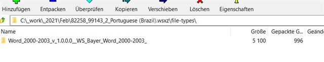 File explorer window displaying a single file named 'Word_2000-2003_v.1.0.0.0_WS_Bayer_Word_2000-2003'.