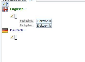 Screenshot of the term entry interface showing 'Fachgebiet' field with 'Elektronik' as the default value for both English and German languages.